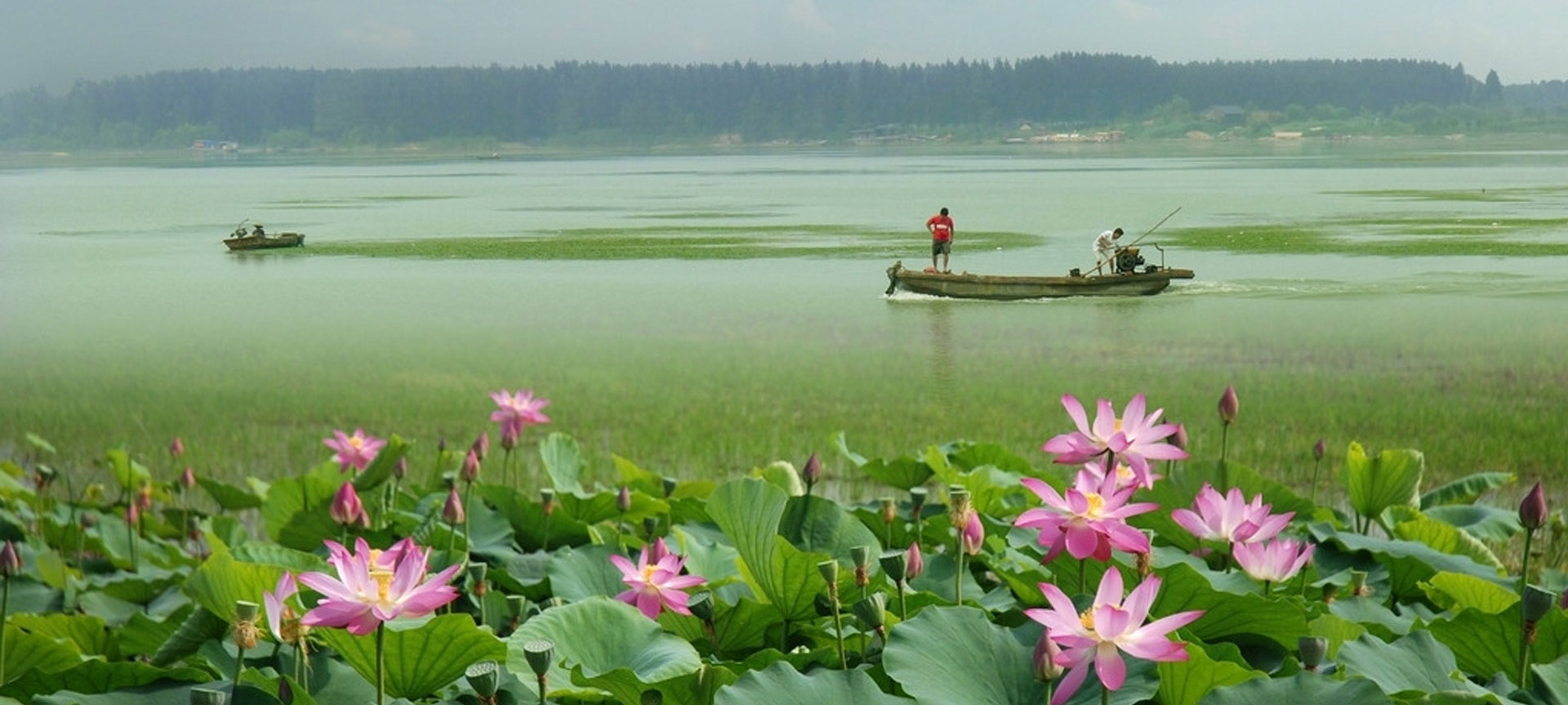 沛縣千島湖